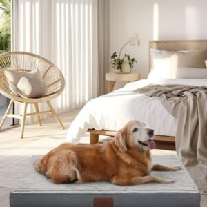 OhGeni Grey Dog Bed for Large Dogs – Large Dog Bed with Egg Crate Foam Support and Non-Slip Bottom, Waterproof and Machine Washable Removable Pet Bed Cover (Gray)