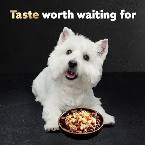 CESAR SIMPLY CRAFTED Adult Wet Dog Food Meal Topper Variety Pack, Chicken, Duck, Purple Potatoes, Pumpkin, Green Beans & Brown Rice and Chicken, Carrots, Barley & Spinach, 1.3 oz. Tubs, Pack of 8 - Image 9