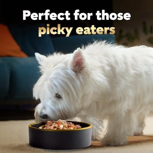 CESAR SIMPLY CRAFTED Adult Wet Dog Food Meal Topper Variety Pack, Chicken, Duck, Purple Potatoes, Pumpkin, Green Beans & Brown Rice and Chicken, Carrots, Barley & Spinach, 1.3 oz. Tubs, Pack of 8 - Image 8