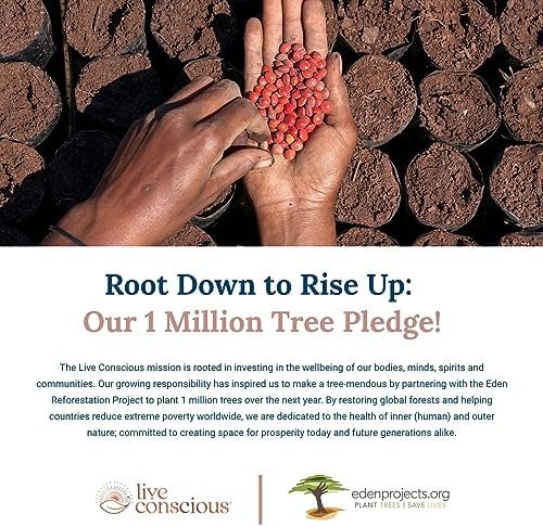 Magnesium Zinc & Vitamin D3 - Bioavailable Forms of Magnesium - Malate, Glycinate, Citrate - MagWell by Live Conscious | Bone & Heart Health, Immune System Support - 120 Capsules (2-Pack) - Image 6