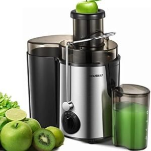 Juicer Machines, HOUSNAT Juicer Whole Fruit and Vegetables with 3-Speed Setting, Upgraded Version 400 W Motor Quick Juicing, Cleaning Brush and Juicing Recipe Included